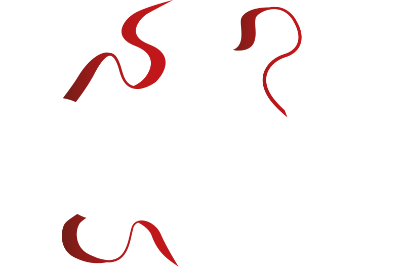 AMV Studio
